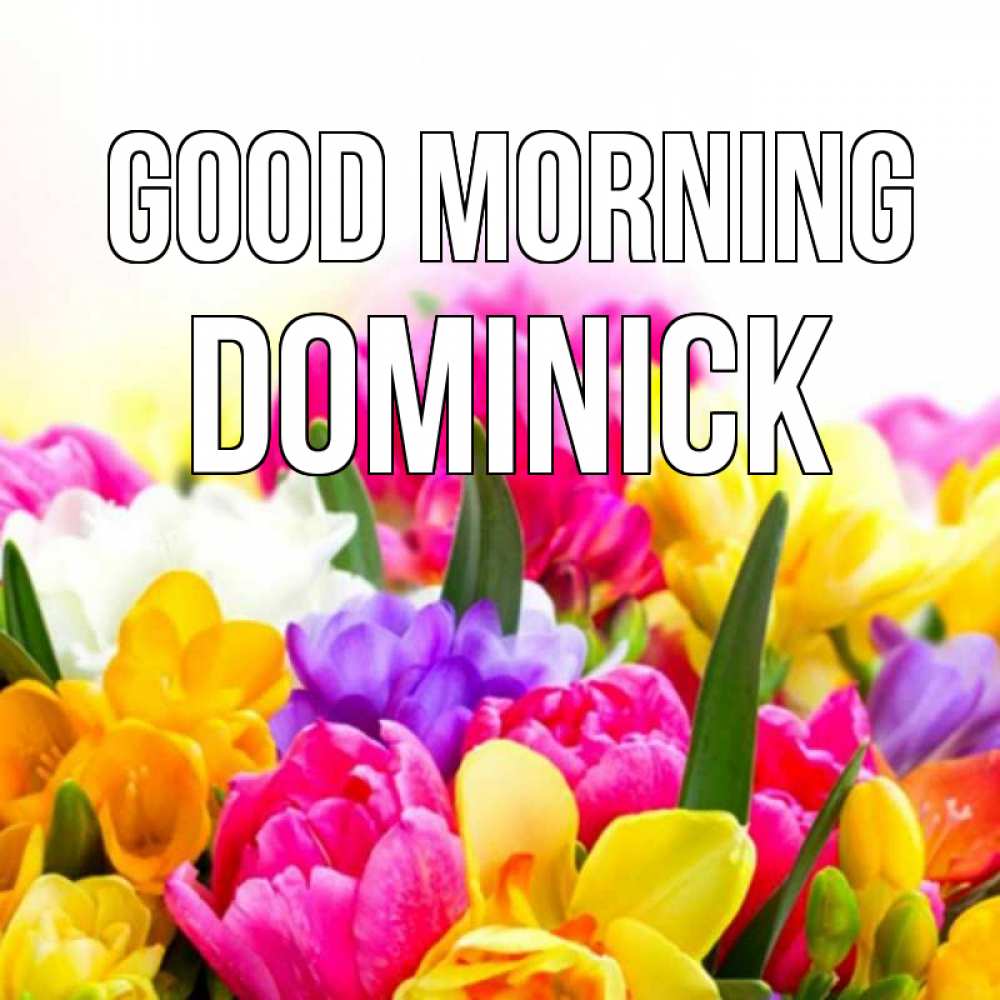 Greetings card с именем, Dominick Good morning создать открытку со свое подписью Greetings with text for free download 