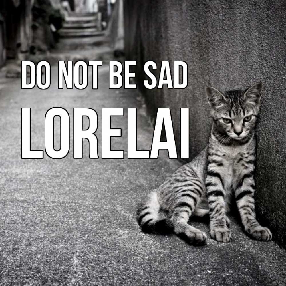 Greetings card с именем, Lorelai Do not be sad скучающий котик Greetings with text for free download 