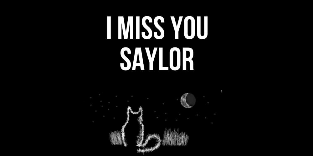 Greetings card с именем, Saylor I miss you кот Greetings with text for free download 