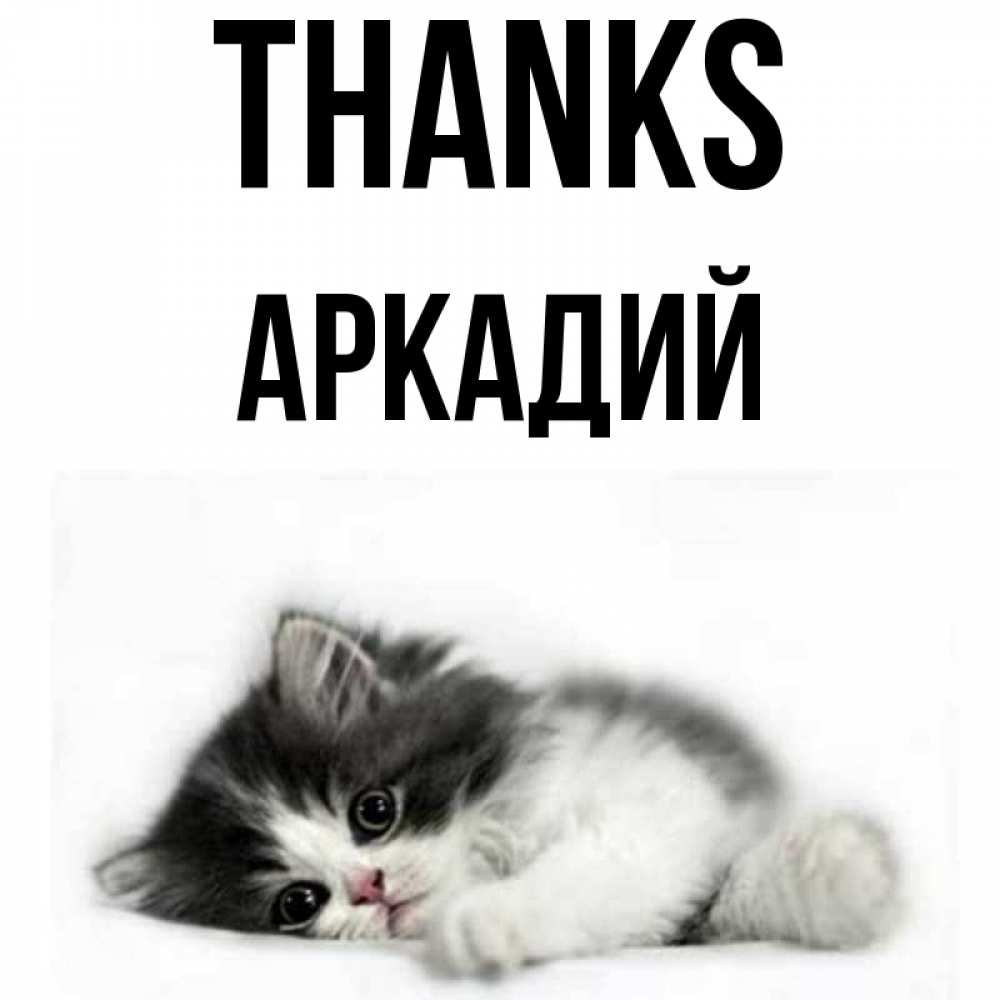 Greetings card с именем, Аркадий Thanks черный и белый кот Greetings with text for free download 