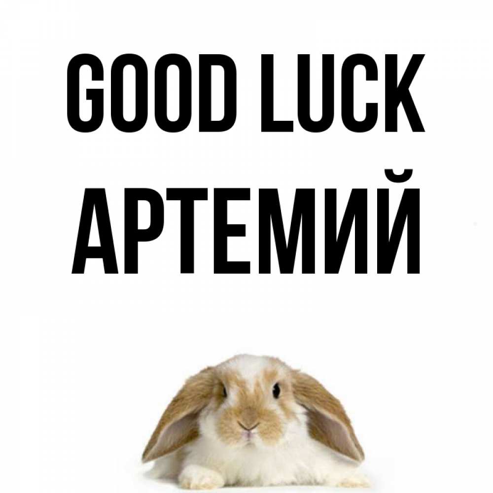 Greetings card с именем, Артемий Good luck открытки с произвольным текстом который можно вставить в открытку и создать ее самостоятельно бесплатно онлайн Greetings with text for free download 