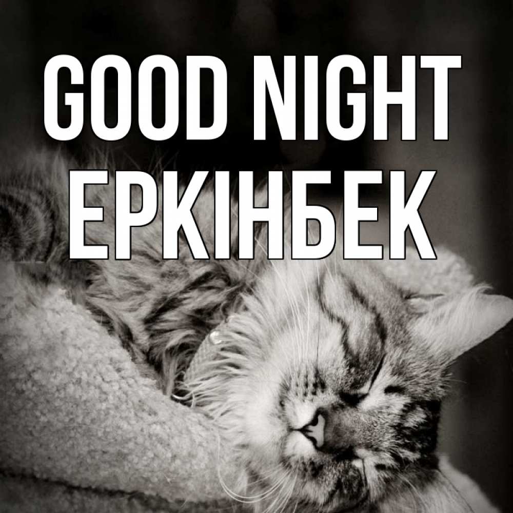 Greetings card с именем, Еркінбек Good night котярик пушистый Greetings with text for free download 