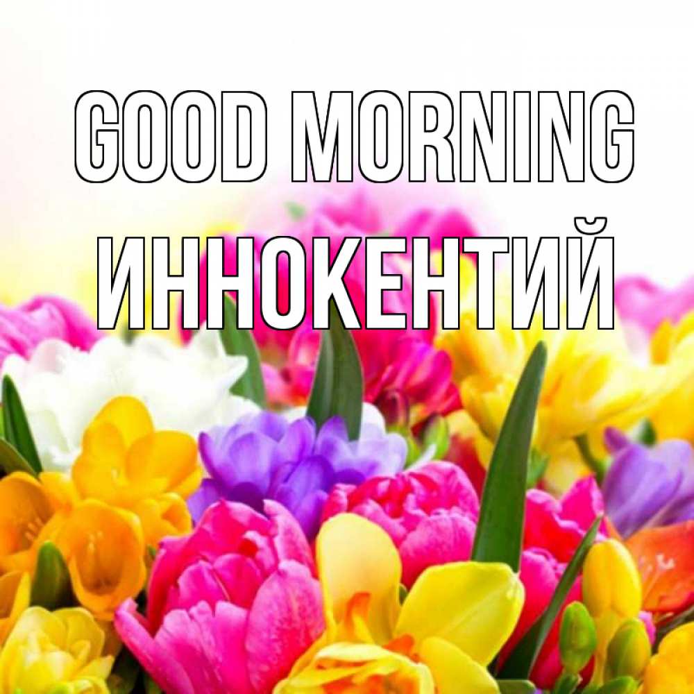 Greetings card с именем, Иннокентий Good morning создать открытку со свое подписью Greetings with text for free download 