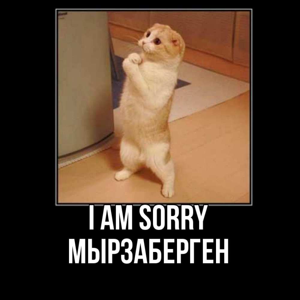 Greetings card с именем, Мырзаберген I am sorry открытка с милым несчастным котиком просящим прощения Greetings with text for free download 