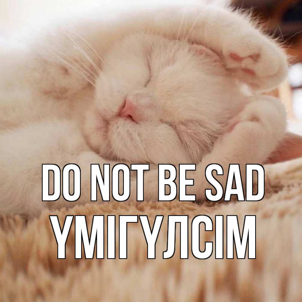 Greetings card с именем, ҮМІГҮЛСІМ Do not be sad белый кот Greetings with text for free download 