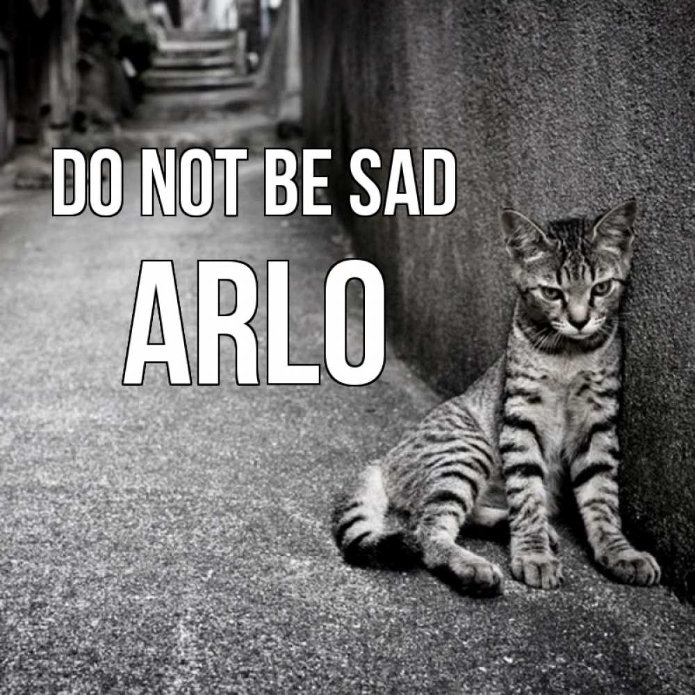 Greetings card с именем, Arlo Do not be sad скучающий котик Greetings with text for free download 