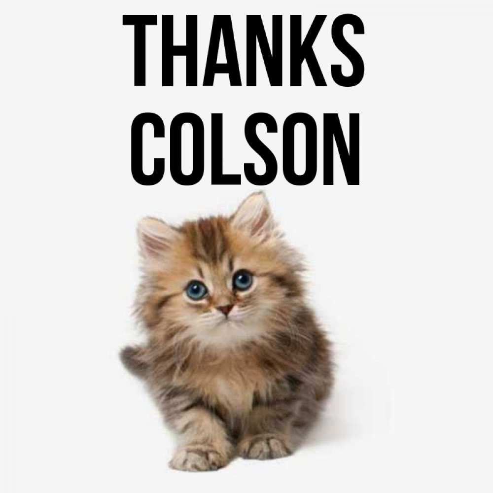 Greetings card с именем, Colson Thanks пушистый котик Greetings with text for free download 