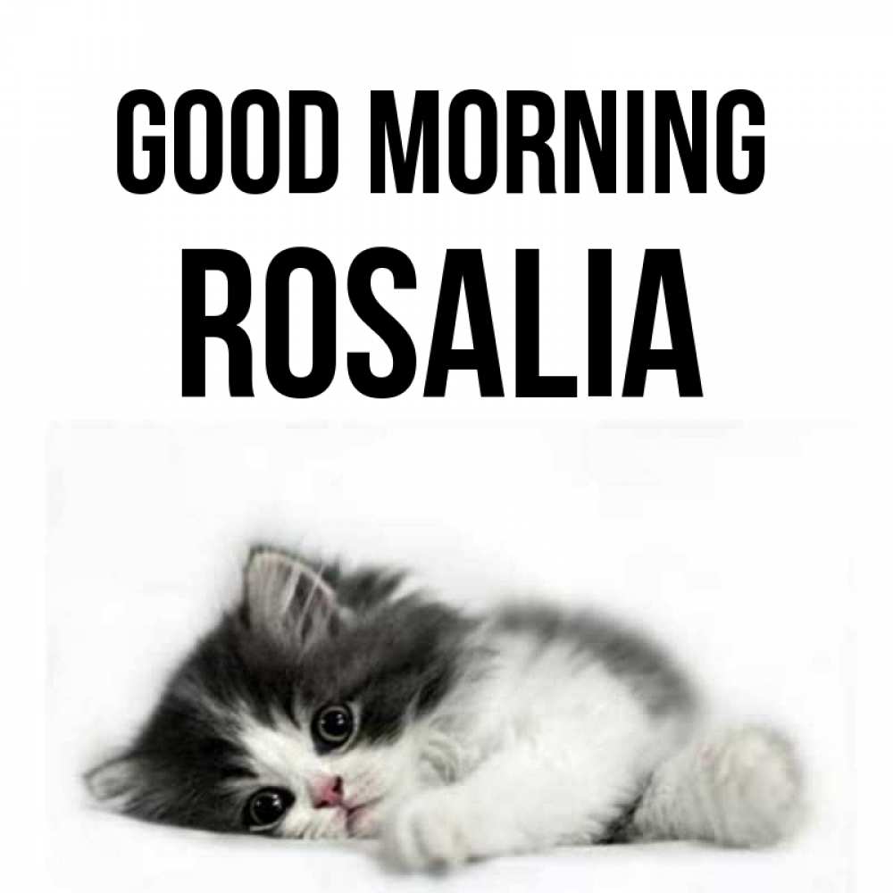Greetings card с именем, Rosalia Good morning кот лапки Greetings with text for free download 