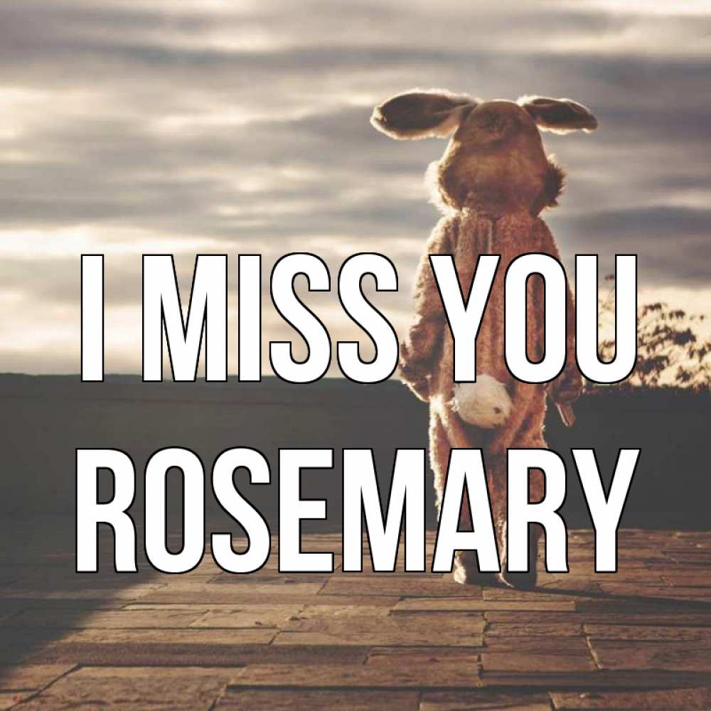 Greetings card с именем, Rosemary I miss you даже в костюме зайца Greetings with text for free download 
