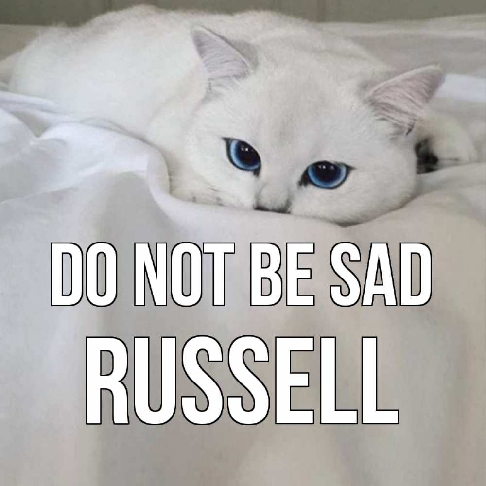 Greetings card с именем, Russell Do not be sad белый кот с голубыми глазами на белоснежной кровати Greetings with text for free download 