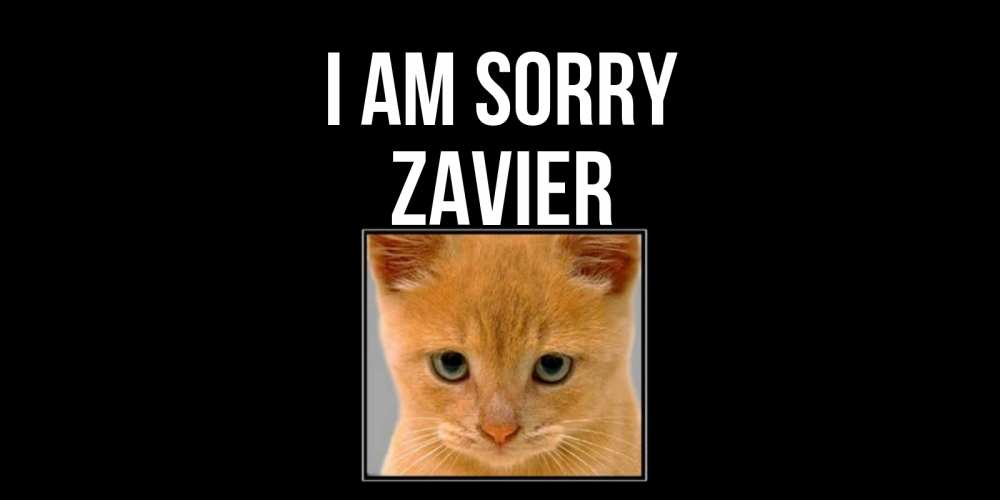 Greetings card с именем, Zavier I am sorry рыжий грустный кот просит прощения Greetings with text for free download 