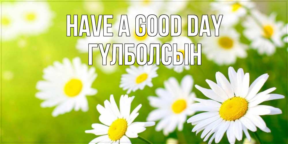 Greetings card с именем, ГҮЛБОЛСЫН Have a good day открытка с ромашками на зеленом фоне Greetings with text for free download 