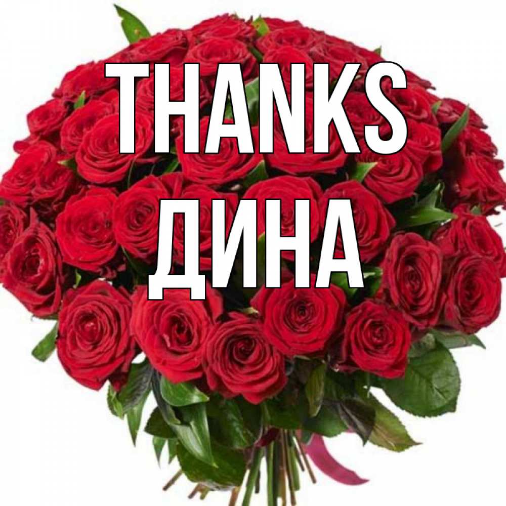 Greetings card с именем, Дина Thanks букет красных роз Greetings with text for free download 