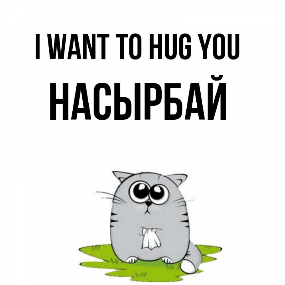 Greetings card с именем, Насырбай I want to hug you котик теребит платочек сидя на травке Greetings with text for free download 