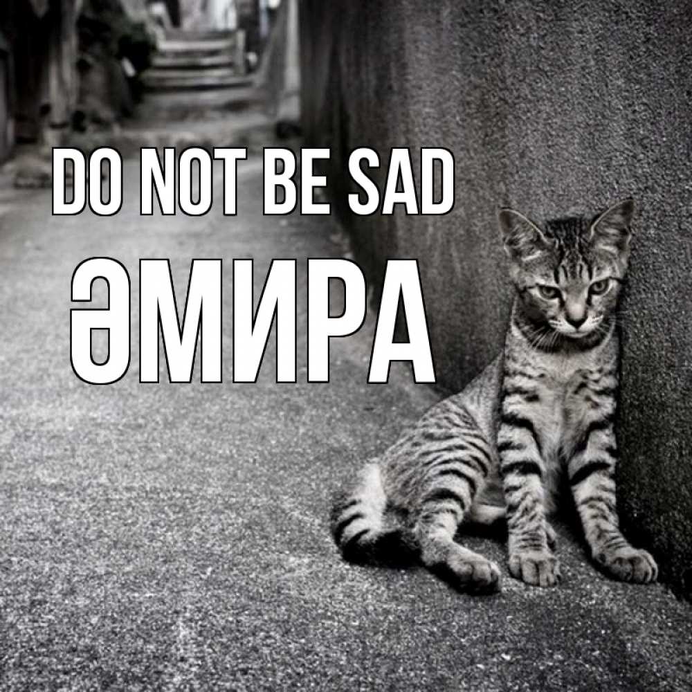 Greetings card с именем, ӘМИРА Do not be sad скучающий котик Greetings with text for free download 