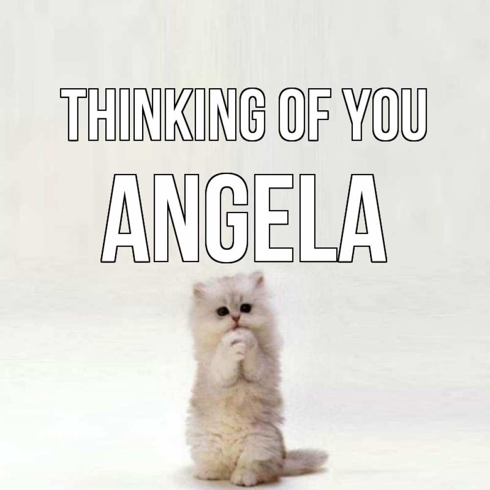 Greetings card с именем, Angela Thinking of you кот стоит на задних лапах Greetings with text for free download 