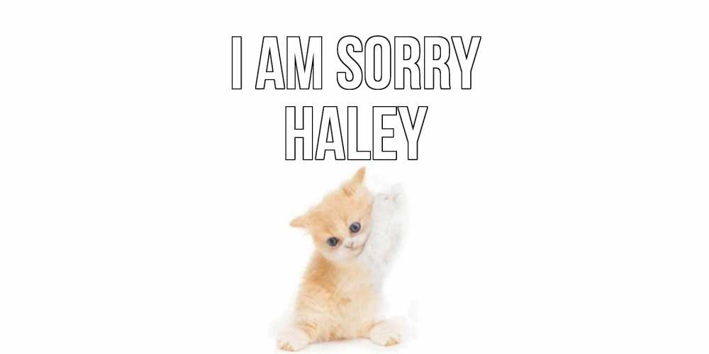 Greetings card с именем, Haley I am sorry кот Greetings with text for free download 