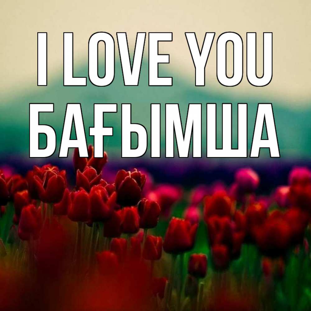 Greetings card с именем, БАҒЫМША I love you тюльпаны 4 Greetings with text for free download 