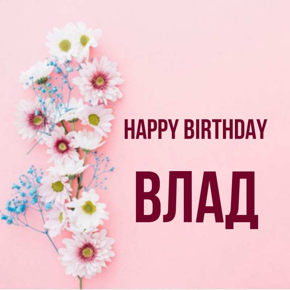 Greetings card с именем, Влад Happy Birthday Родная моя с днем рождения тебя картинка с цветами белыми и голубыми Greetings with text for free download 