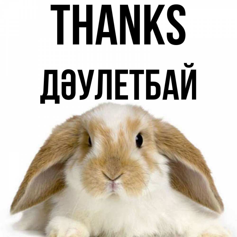 Greetings card с именем, Дәулетбай Thanks коричнево белый заяц Greetings with text for free download 