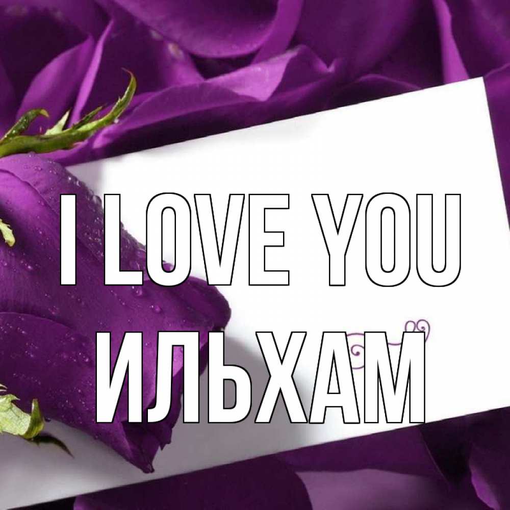 Greetings card с именем, Ильхам I love you роза Greetings with text for free download 
