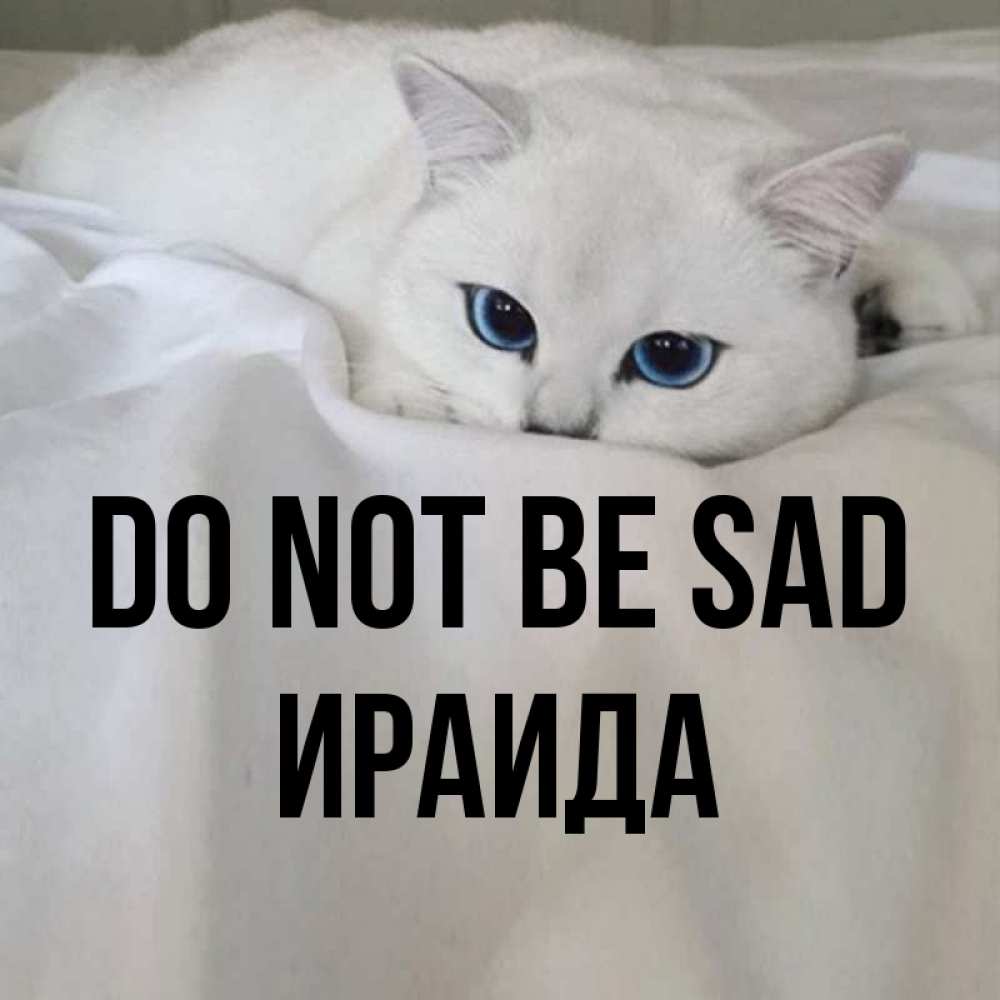 Greetings card с именем, Ираида Do not be sad Голубоглазая кошка Greetings with text for free download 
