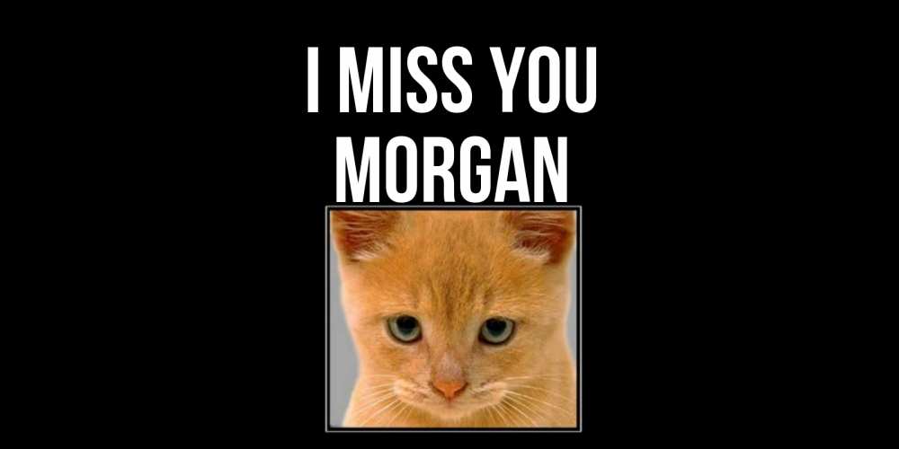 Greetings card с именем, Morgan I miss you открытки рыжий котенок скучает по тебе Greetings with text for free download 