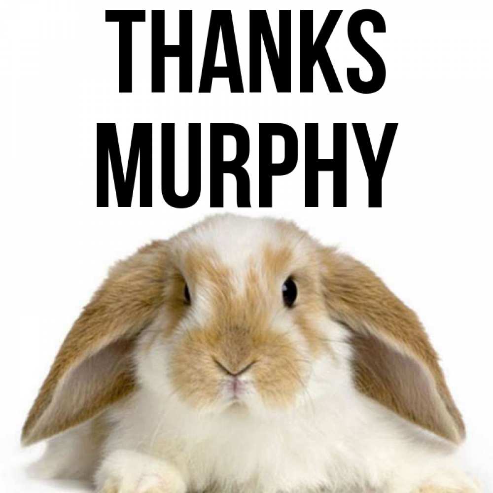 Greetings card с именем, Murphy Thanks коричнево белый заяц Greetings with text for free download 