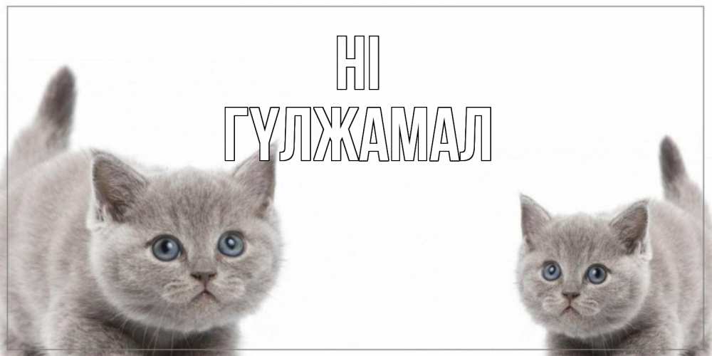 Greetings card с именем, ГҮЛЖАМАЛ Hi коты Greetings with text for free download 