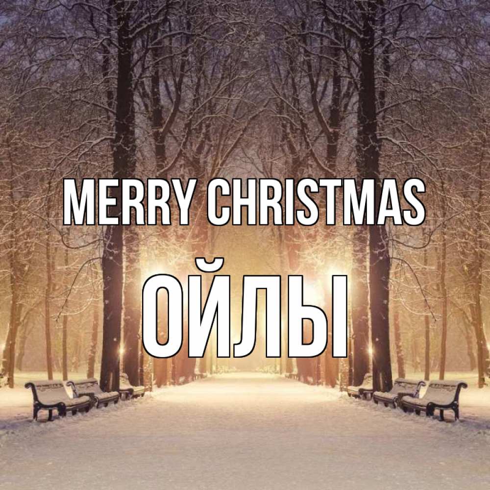 Greetings card с именем, ОЙЛЫ Merry Christmas зима, парк, фонарь, лес Greetings with text for free download 