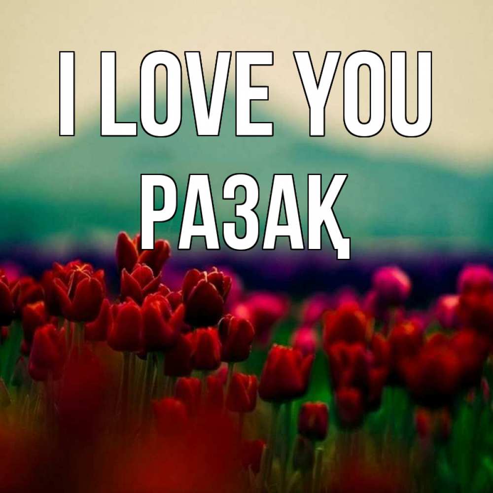 Greetings card с именем, РАЗАҚ I love you тюльпаны 4 Greetings with text for free download 