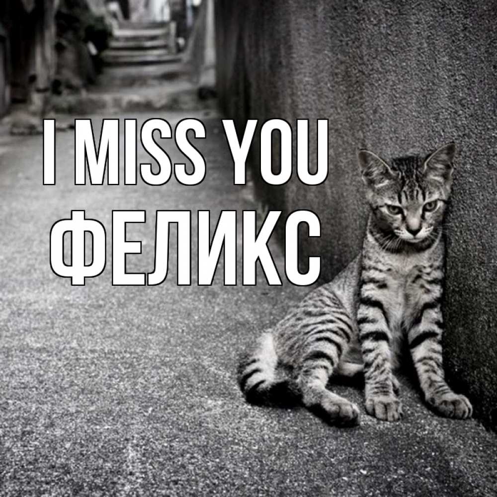 Greetings card с именем, Феликс I miss you одиноко котику Greetings with text for free download 