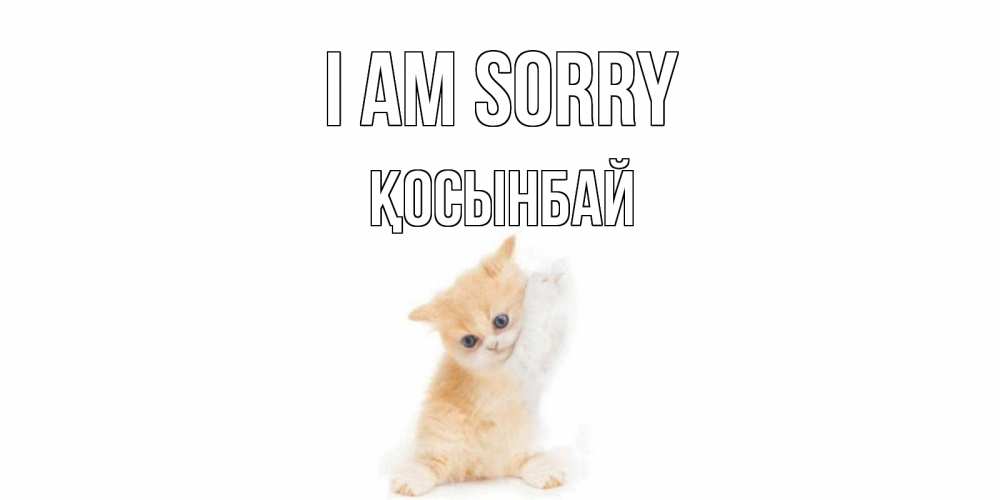 Greetings card с именем, ҚОСЫНБАЙ I am sorry кот Greetings with text for free download 