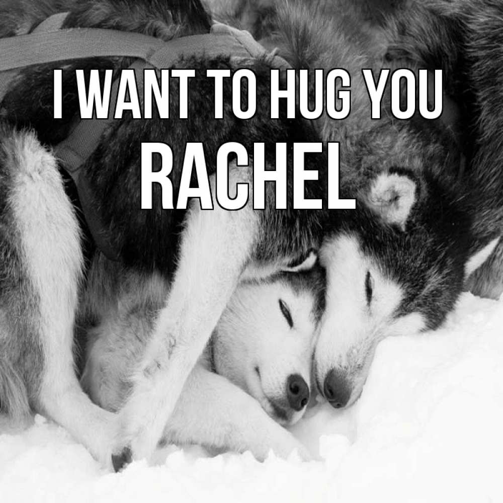 Greetings card с именем, Rachel I want to hug you собачки в упряжке Greetings with text for free download 
