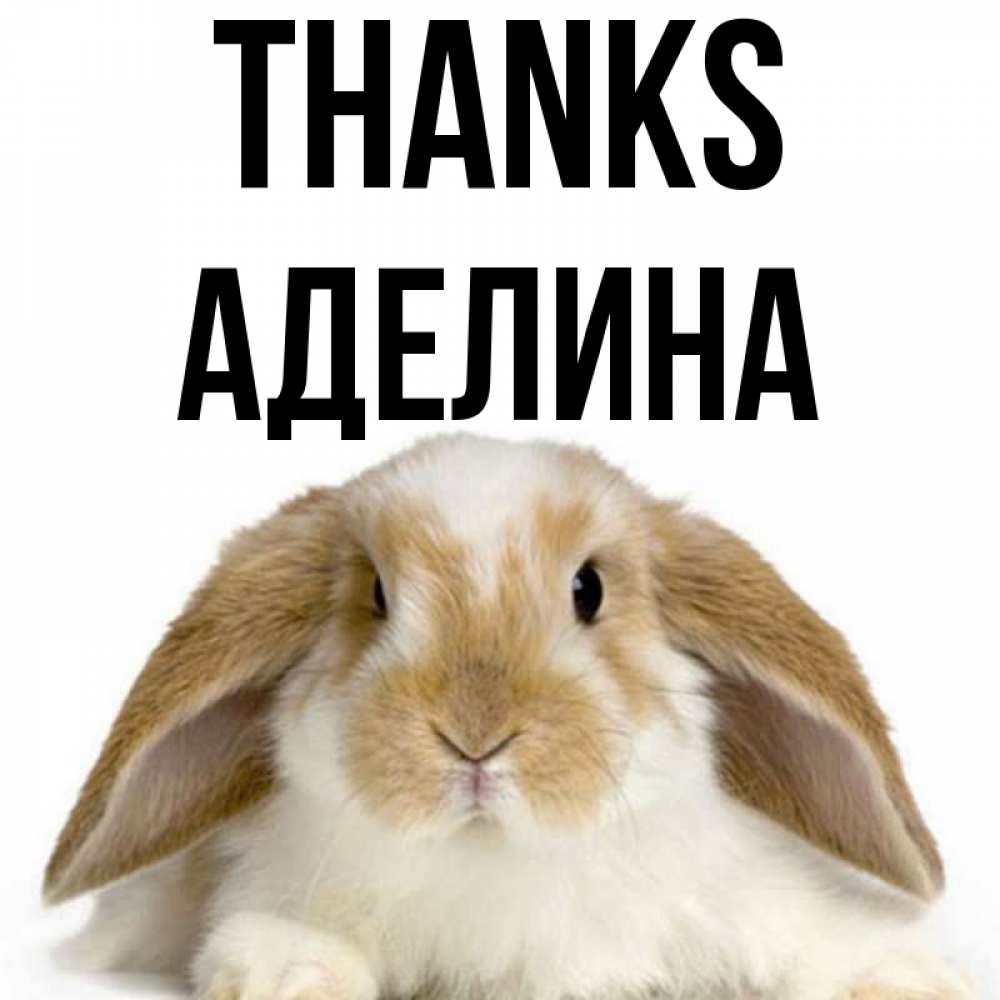 Greetings card с именем, Аделина Thanks коричнево белый заяц Greetings with text for free download 