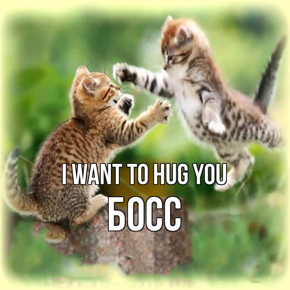 Greetings card с именем, Босс I want to hug you игры котят Greetings with text for free download 