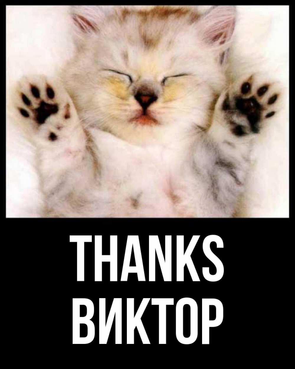 Greetings card с именем, Виктор Thanks маленький котенок Greetings with text for free download 