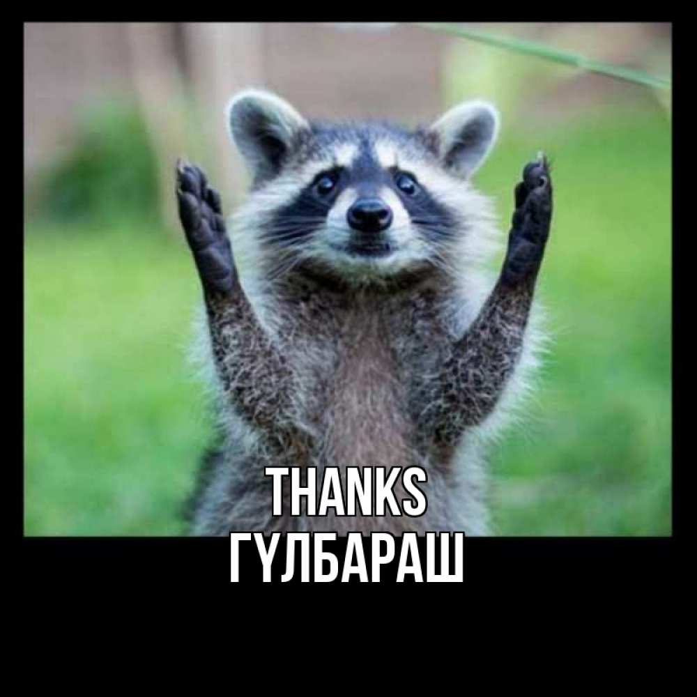 Greetings card с именем, ГҮЛБАРАШ Thanks милые животные Greetings with text for free download 