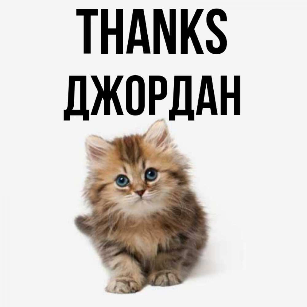 Greetings card с именем, Джордан Thanks пушистый котик Greetings with text for free download 