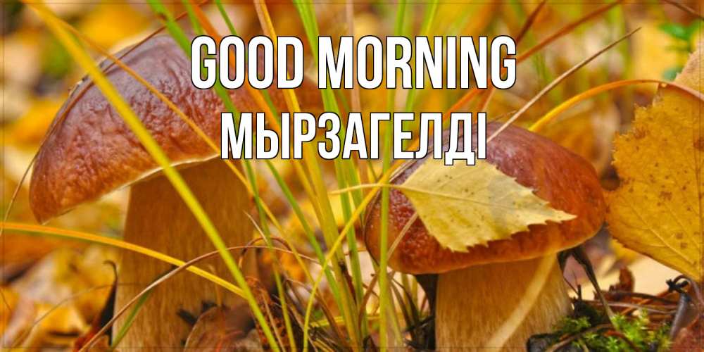 Greetings card с именем, Мырзагелді Good morning осенние грибы Greetings with text for free download 