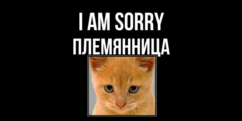 Greetings card с именем, Племянница I am sorry рыжий грустный кот просит прощения Greetings with text for free download 