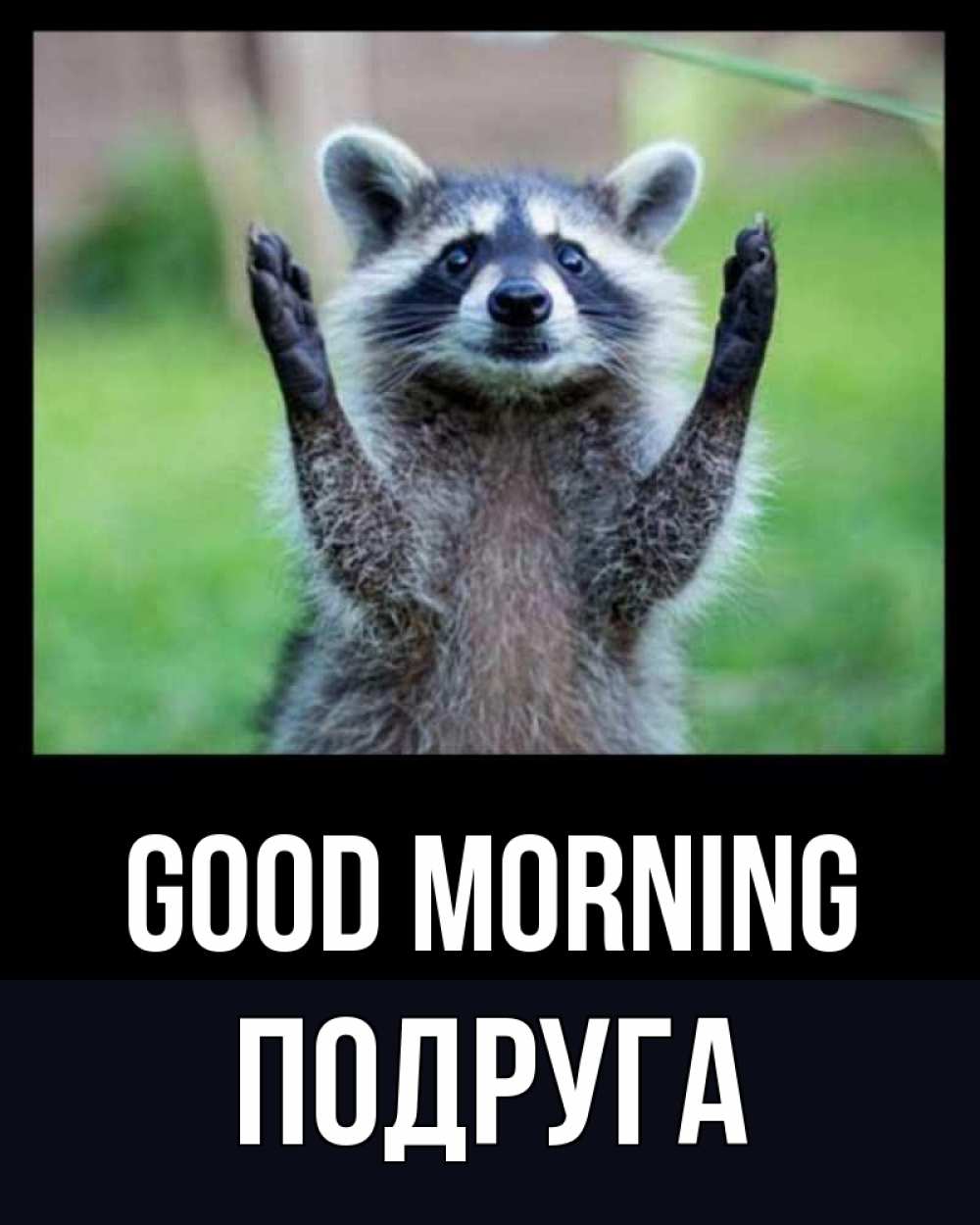 Greetings card с именем, Подруга Good morning хорошее настроение утречком Greetings with text for free download 