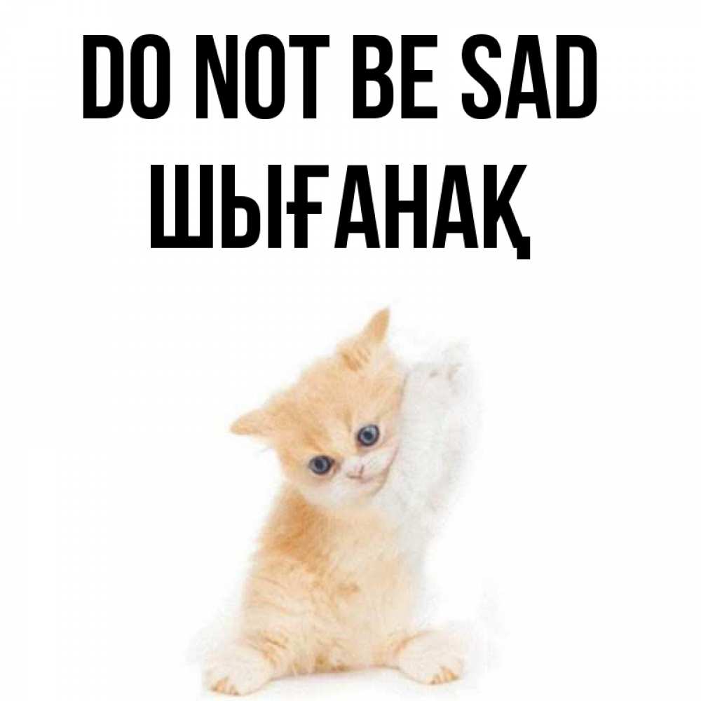 Greetings card с именем, ШЫҒАНАҚ Do not be sad просящий кот Greetings with text for free download 