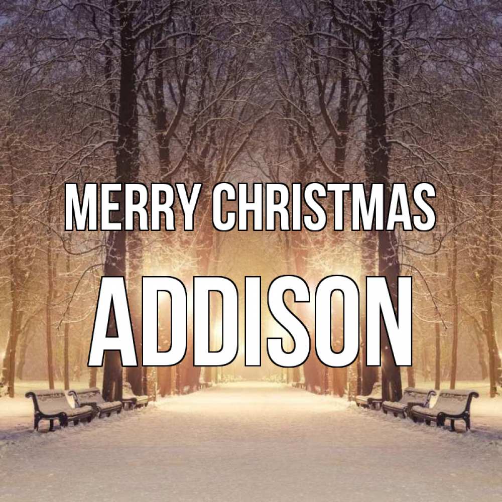 Greetings card с именем, Addison Merry Christmas зима, парк, фонарь, лес Greetings with text for free download 