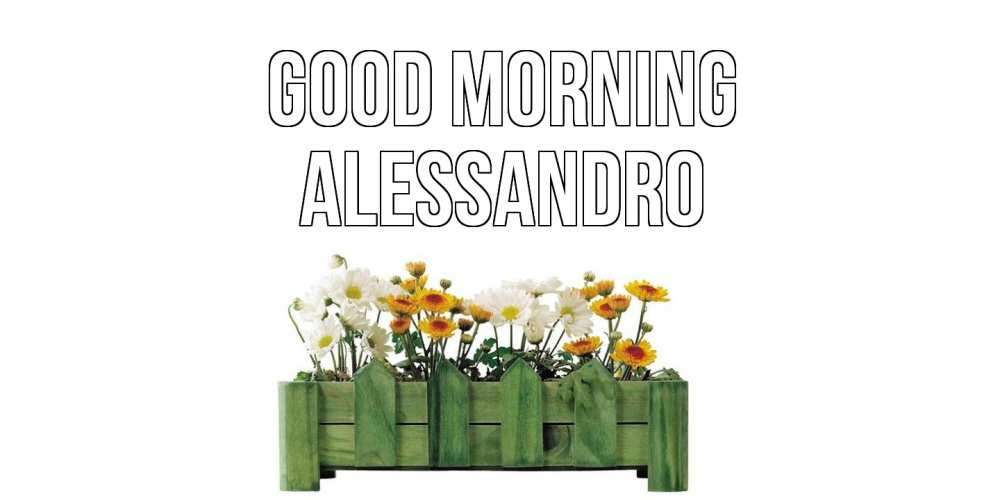 Greetings card с именем, Alessandro Good morning цветы Greetings with text for free download 