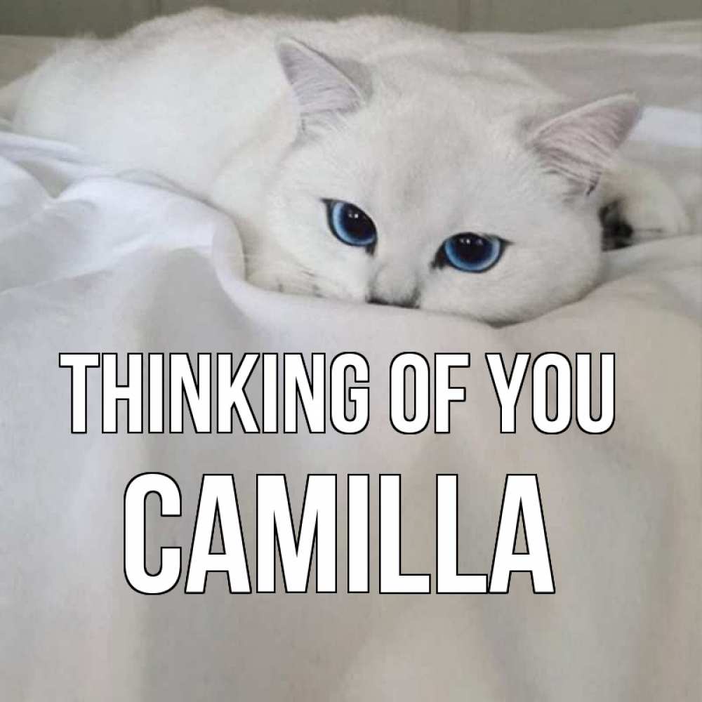 Greetings card с именем, Camilla Thinking of you я очень по тебе скучаю и тоскую Greetings with text for free download 