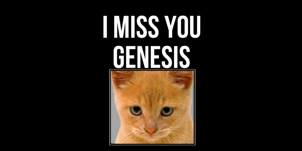 Greetings card с именем, Genesis I miss you открытки рыжий котенок скучает по тебе Greetings with text for free download 