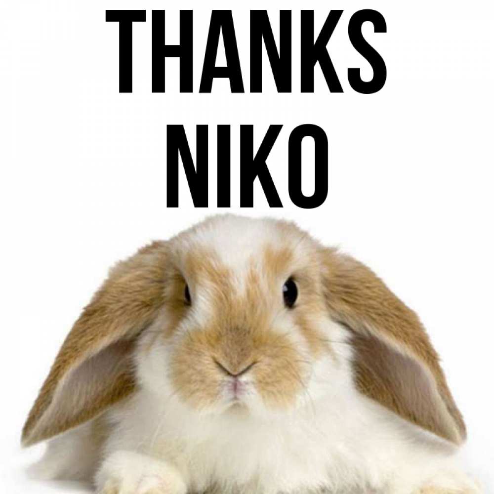 Greetings card с именем, Niko Thanks коричнево белый заяц Greetings with text for free download 