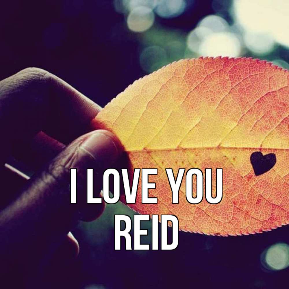 Greetings card с именем, Reid I love you держу лист Greetings with text for free download 