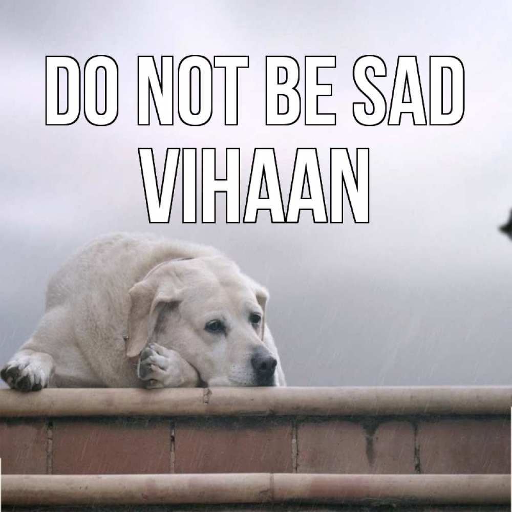 Greetings card с именем, Vihaan Do not be sad белый пес 1 Greetings with text for free download 